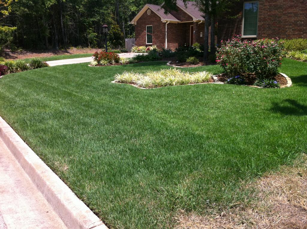 Oasis Lawn Care Longview TX 75615 9034529234
